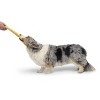BARK Sniffin Booty Golden Dogbloon Dog Flying Disc Plush Toy - 3 of 4
