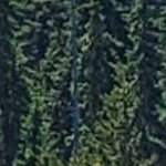 dappled light bronze narrow