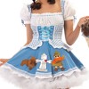 Miss Dorothy Adult Women's Costume - 2 of 4