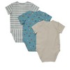 Hanes Pure Comfort Baby Short Sleeve Bodysuits, Organic Cotton, Boys & Girls, 3-Pack - 2 of 2