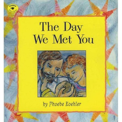 The Day We Met You - by  Phoebe Koehler (Paperback)