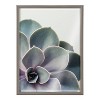 18" x 24" Blake Succulent 5 by Emiko and Mark Franzen of F2 Images Framed Printed Glass Gray - Kate & Laurel All Things Decor - 2 of 4