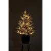 3 Ft Pre-Lit Christmas Tree, Artificial Christmas Trees with Lighting, Xmas Trees with Lights, Christmas Decoration for Home, Office, Easy Assembly - 4 of 4