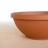 Bloem Terra 12" Diameter Resin Planter Bowl with Optional Knockout Drainage for Indoor and Outdoor Gardening - 4 of 4