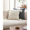 Livabliss Makrome Cottage Throw Pillow - 3 of 4