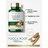 Carlyle Yucca Root 1000mg | 120 Capsules - image 3 of 4