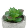 Unique Bargains Artificial Plants Mini Graptoveria in Pulp Plastic 2.36"x2.36"x3.15" 1 Pcs - 4 of 4