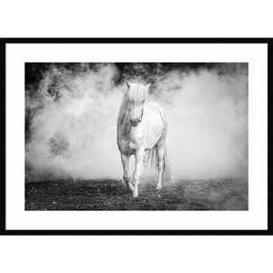 Amanti Art Icelandic pony by Jeffrey C. Sink Wood Framed Wall Art Print - 1 of 4