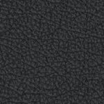 tampa bay buccaneers