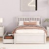 Modern Twin Size Platform Bed With 2 Drawers, Headboard And Footboard Wood Slats Support, No Box Spring Needed - 2 of 4