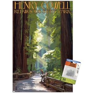 Trends International Lantern Press - Redwoods Pathway in Trees Unframed Wall Poster Prints - 1 of 4