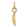 Black Bow Jewelry 14k Yellow Gold Open Back Seashell Charm or Pendant, 10mm (3/8 Inch) - 2 of 4
