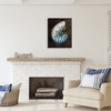 Stupell Industries Dark Nautilus Shell, 24" x 30" - 2 of 4