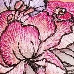 lotus pond embroidery c04