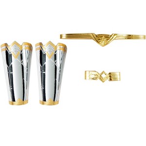 DC Comics Wonder Woman 1984 Adult Accessory Kit, Standard - 1 of 1