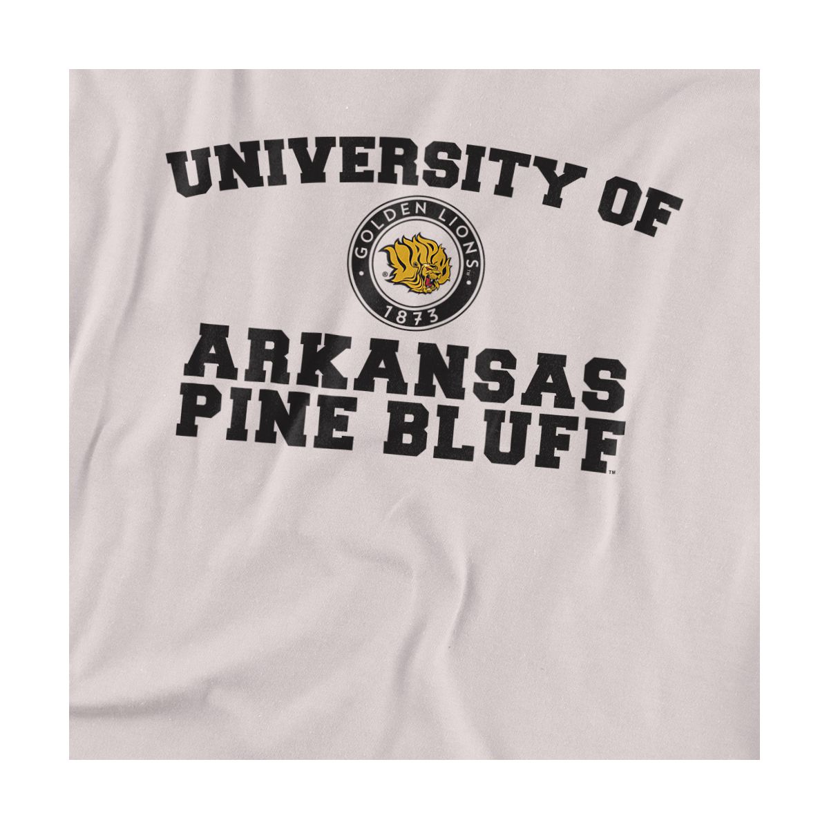 Men's University of Arkansas at Pine Bluff Official Circle Logo T-Shirt - thumbnail 8