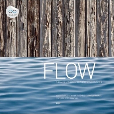 Flow - by  Steve Cdowell (Paperback)