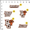 Bowling Green State University Spirit Logo 50Ct Sticker Packs Miscellaneous 50 Ct. Sticker Pack - 2 of 4