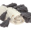 Parkland Collection,Seema Transitional Multicolored Handloomed 52" X 67" Cotton Throw Blanket - 3 of 4