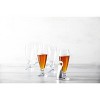 Schott Zwiesel 7pc 13.9oz Pilsners Glasses with Bottle Opener: Beer Lovers Set, Dishwasher-Safe Drinkware, Footed Pilsner - 3 of 3