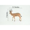 Collectible Wildlife Gifts | Gazelle Antelope, Hand Painted, Museum Quality, Rubber Animal, Diorama, Toy,  Gift, 3 1/2 Inches.  CH857 BB198 - 3 of 4
