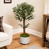 Northlight Artificial Olive Tree with Foliage In a Black Pot - 40" - 2 of 4