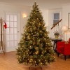 Carolina Pine Artificial Christmas Tree - National Tree Company - 2 of 4