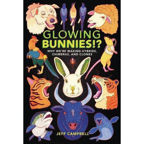 Venus the Bunny - Let's talk about bunny eyes today! Look into my eyes and  let's go on an educational journey! First off, bunny eye colors! Bunnies  can have 4 different eye
