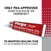 Blistex Cold Sore and Fever Blister Treatment Cream - Docosanol - 0.07oz - 4 of 4
