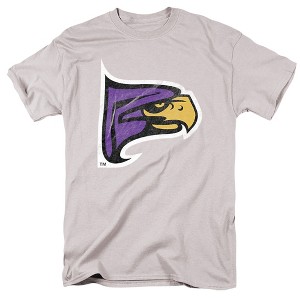 Men's Hunter College Official Distressed Primary Logo T-Shirt - 1 of 4