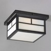 Maxim Lighting Coldwater 2 - Light Flush Mount in  Black - 2 of 4
