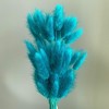 Alilang Dried Bunny Tail Grass Stems for Modern Home Decoration and Floral Arrangements, 23.5 Inches - 3 of 3