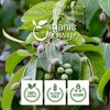 Organic Way Haritaki Powder 1 Lbs - 4 of 4