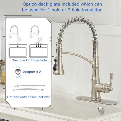 Brushed Nickel Single-Handle Pull-Down Kitchen Faucet with Deck Plate