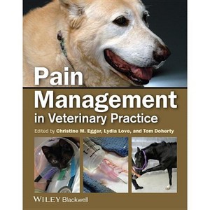 Pain Mgmt Small Animal Vet Pra - by  Christine M Egger & Lydia Love & Tom Doherty (Paperback) - 1 of 1