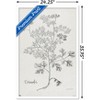 Trends International Jean Plout - Botanical Studies on Paper Coriander Framed Wall Poster Prints - 3 of 4