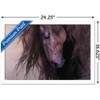 Trends International Laurie Prindle - Equus Framed Wall Poster Prints - 3 of 4