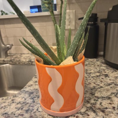 Guest review image 1 of 3, zoom in