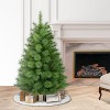 Puleo 4.5' Artificial Washington Pine Christmas Tree - 2 of 4