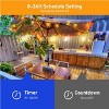 BlueAcorn Indoor/Outdoor Bluetooth LED Globe String Lights, 100ft - 3 of 4
