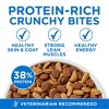 Purina ONE High Protein Salmon and Fish Flavor Dry Cat Food - 7lbs - 3 of 4