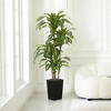 5-6ft UV & Sunproof Artificial Dracaena Tree for Indoor/Outdoor - Faux Silk Plant in Tall Planter, Tall Faux Tree for Home & Garden Decor - 4 of 4