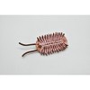 Collectible Wildlife Gifts | Naraoia, marine arthropods, Cambrian Sea Animal, Very Nice Plastic Reproduction    3"     F3473 B352 - 4 of 4