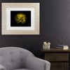 Trademark Fine Art - Brian Carson Backyard Flowers 67 Matted Framed Art - image 2 of 4