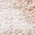 ivory/brown