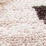 ivory/brown
