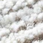 light silver, silver gray, warm gray