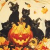 Collections Etc Black Cat Pumpkin Party Halloween Woven Tunic - 2 of 4