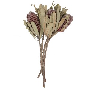 Vickerman Banksia Menziesii, Dried - 1 of 4