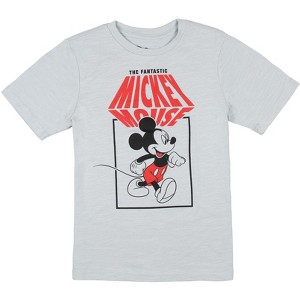 Seven Times Six Disney Boy's The Fantastic Mickey Mouse Character Graphic T-Shirt Silver - 1 of 3